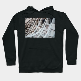 Dog Sleds Hoodie